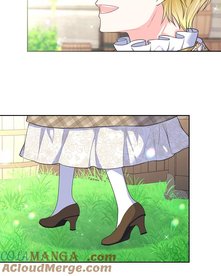 46.jpg