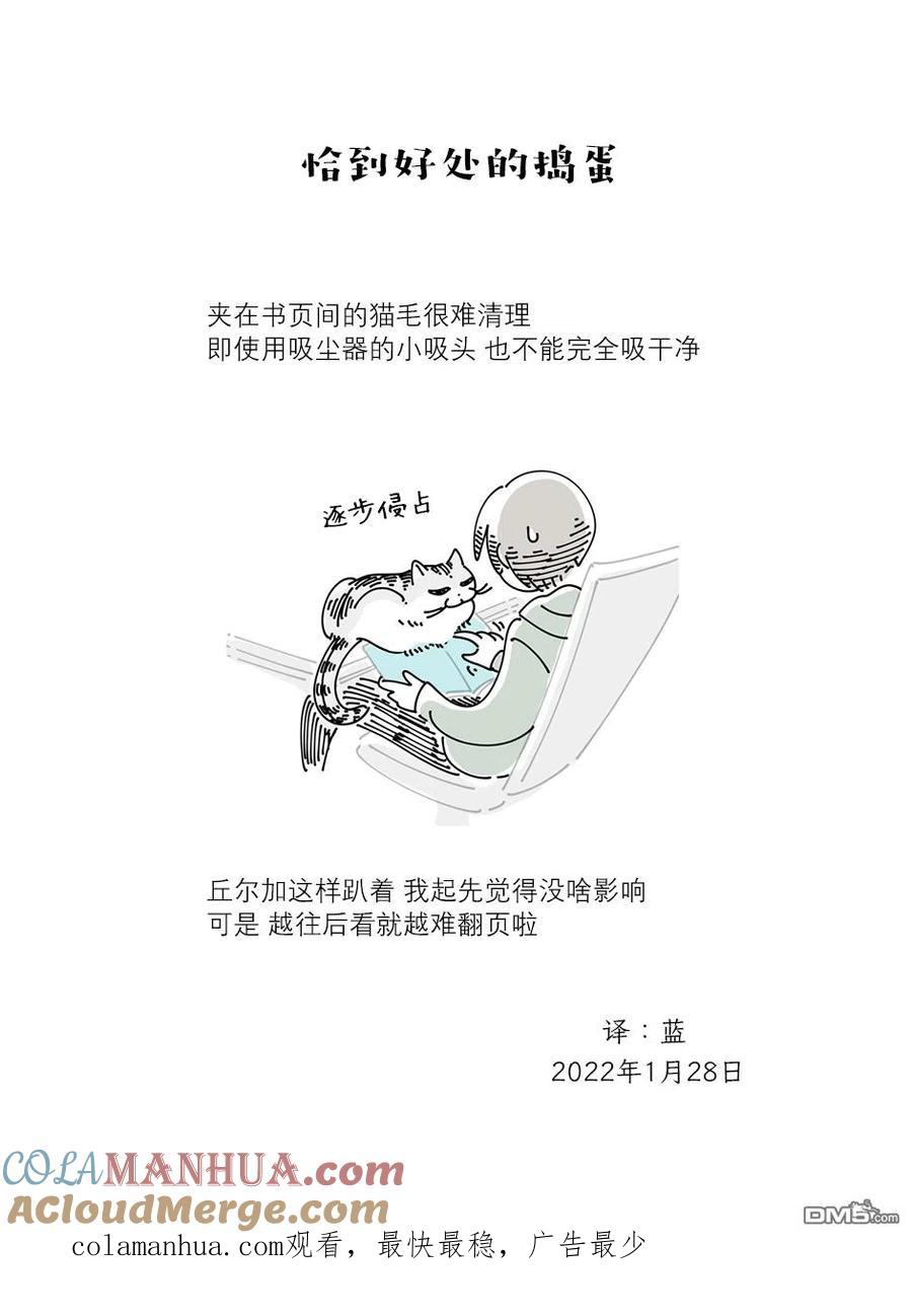 第101话-关于养猫我一直是新手-キュルZ（第2张）