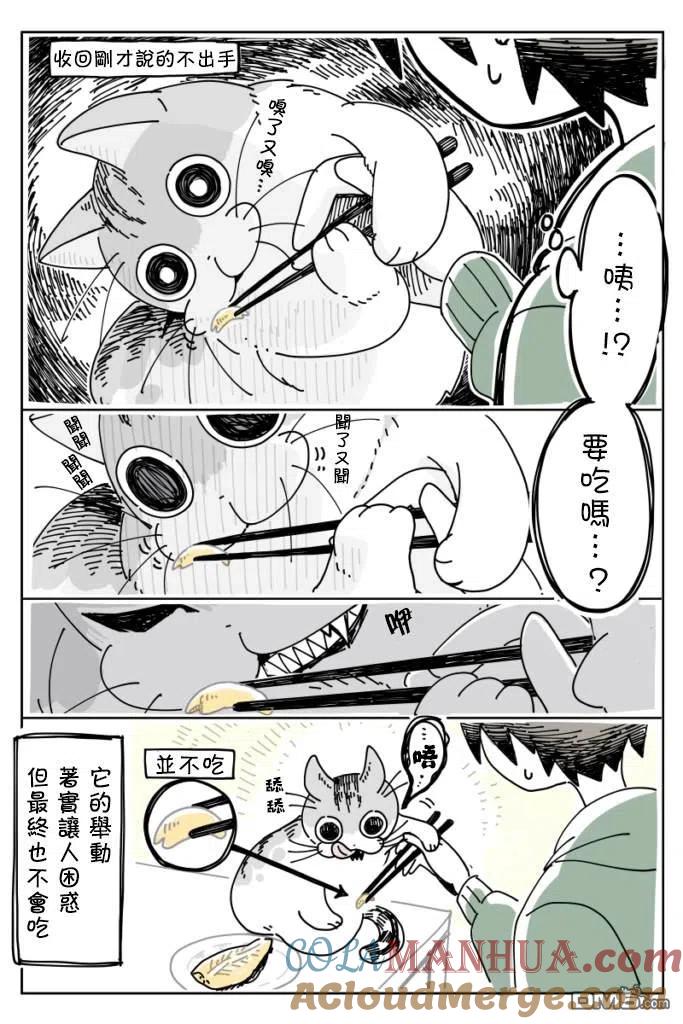 第9话-关于养猫我一直是新手-キュルZ（第3张）