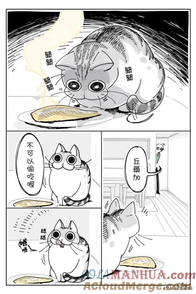 第9话-关于养猫我一直是新手-キュルZ（第1张）