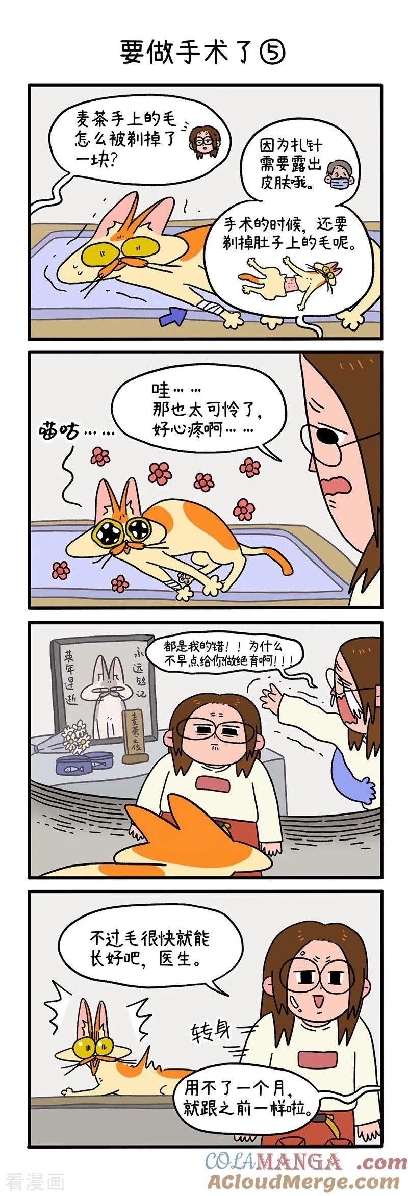 第13话2要做手术了-阿满和麦茶-新漫画 日胖大海寺（第3张）