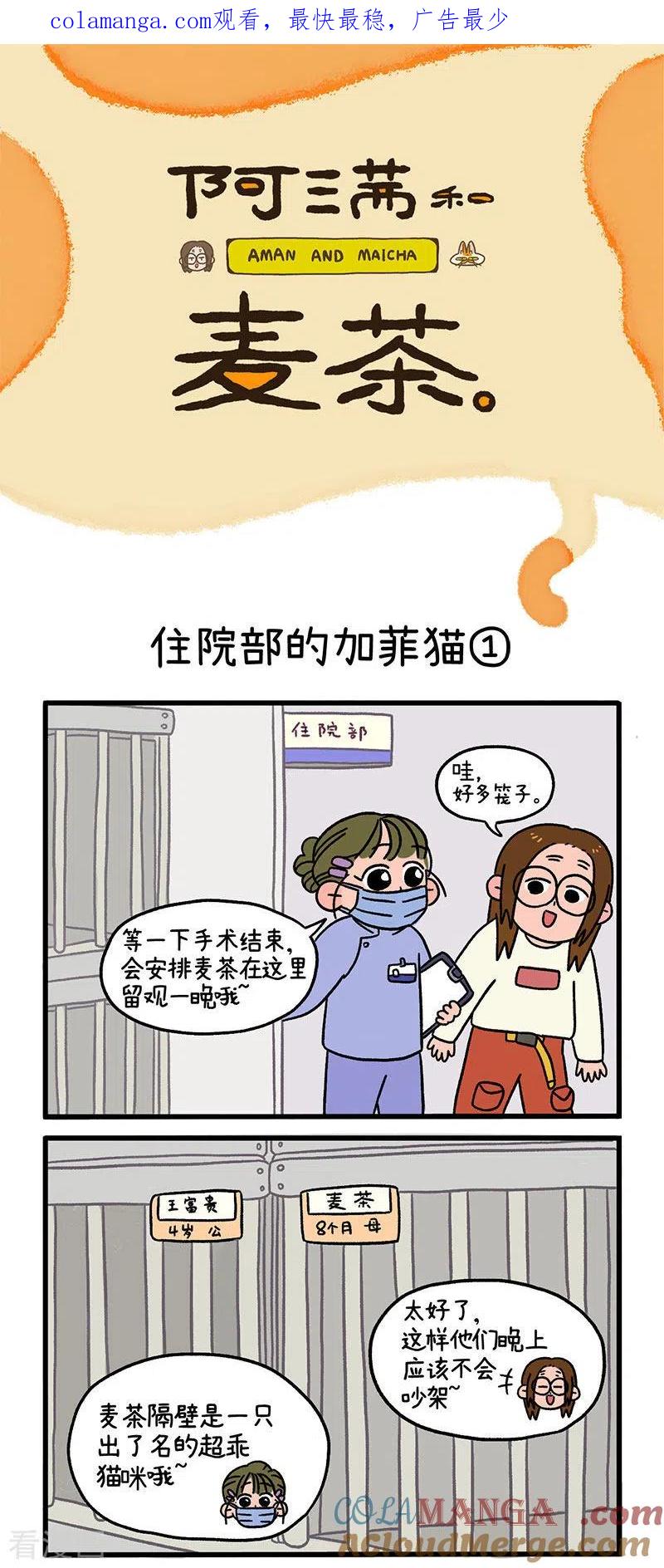 第14话住院部的加菲猫-阿满和麦茶-新漫画 日胖大海寺（第1张）