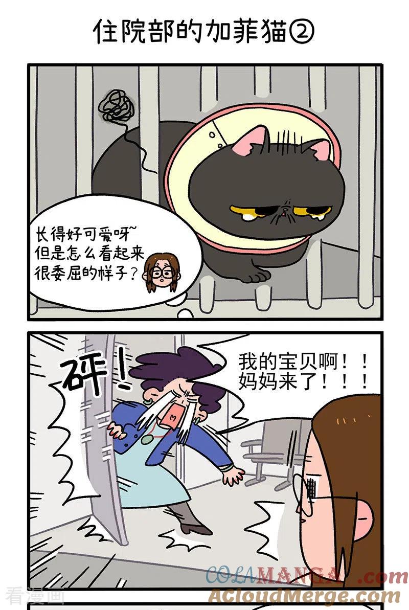 第14话住院部的加菲猫-阿满和麦茶-新漫画 日胖大海寺（第3张）