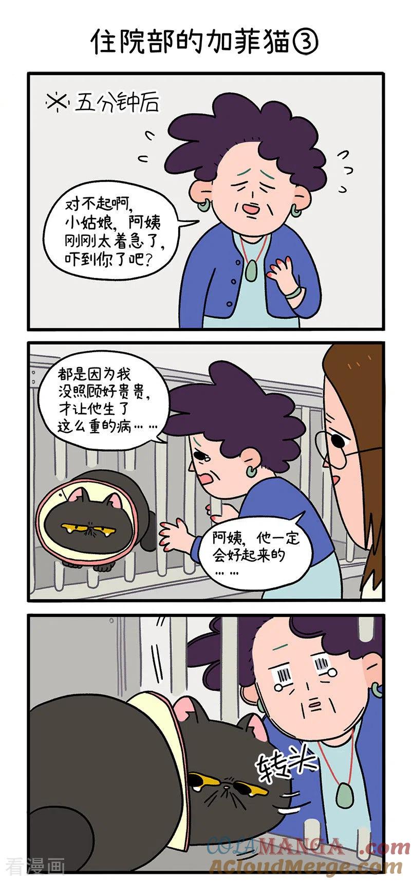 第14话住院部的加菲猫-阿满和麦茶-新漫画 日胖大海寺（第5张）