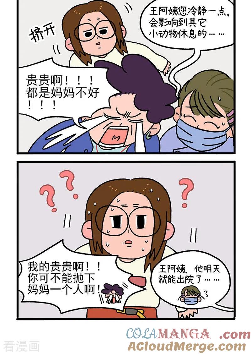 第14话住院部的加菲猫-阿满和麦茶-新漫画 日胖大海寺（第4张）