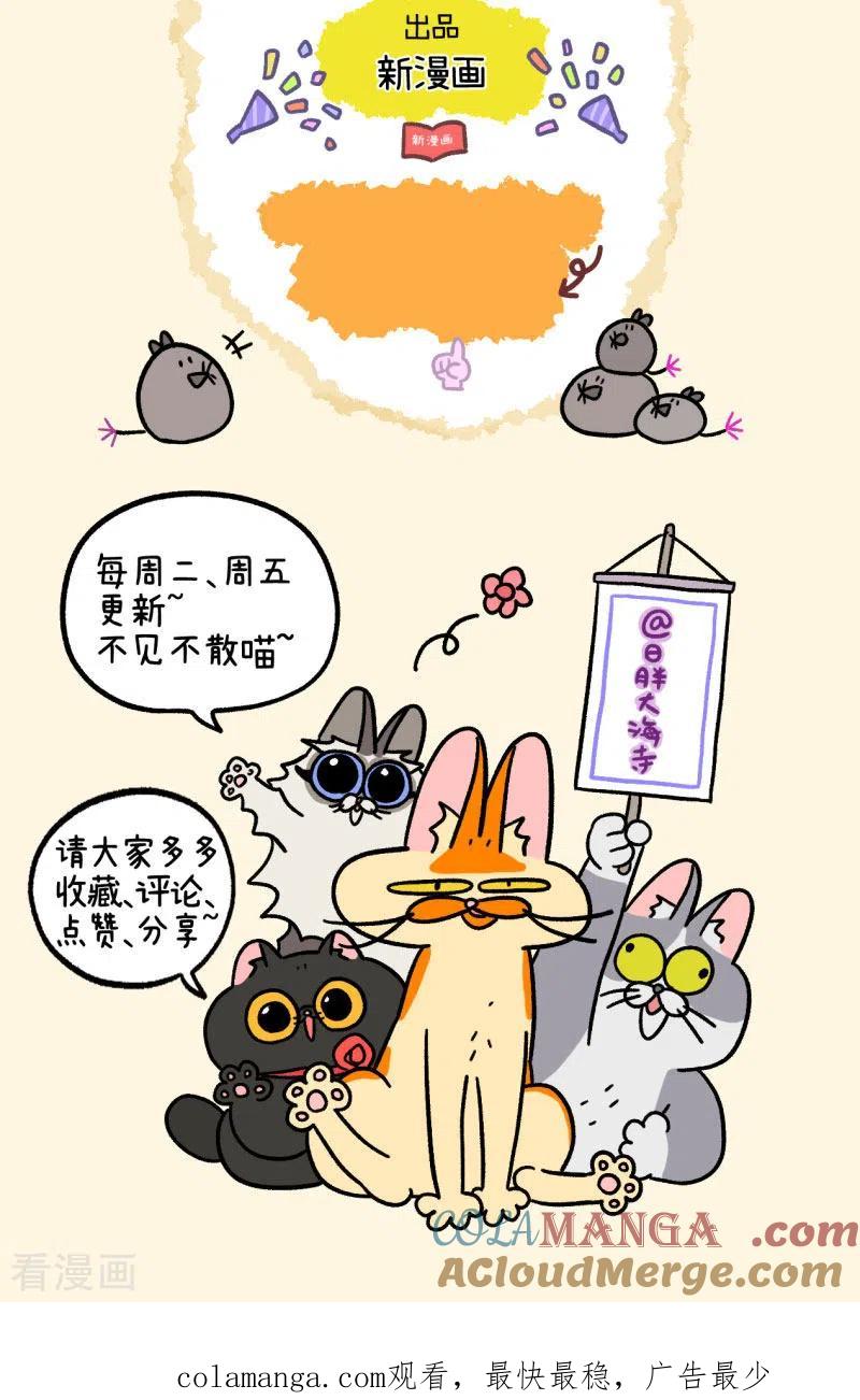 第14话住院部的加菲猫-阿满和麦茶-新漫画 日胖大海寺（第8张）