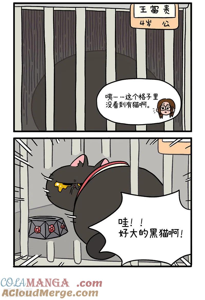 第14话住院部的加菲猫-阿满和麦茶-新漫画 日胖大海寺（第2张）