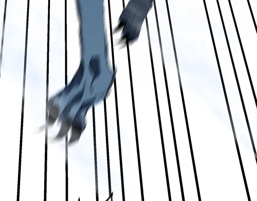 80.jpg