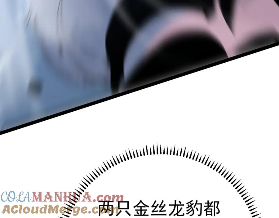 137.jpg