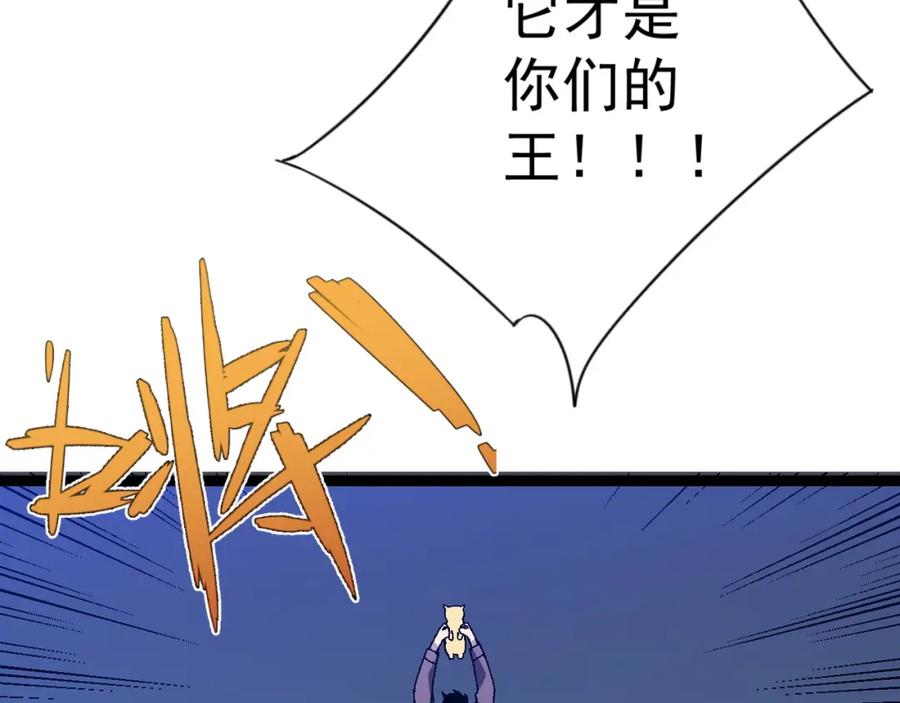 62.jpg