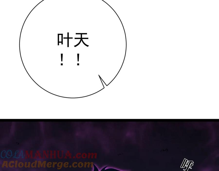 113.jpg