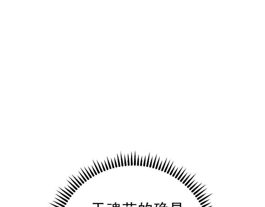 115.jpg
