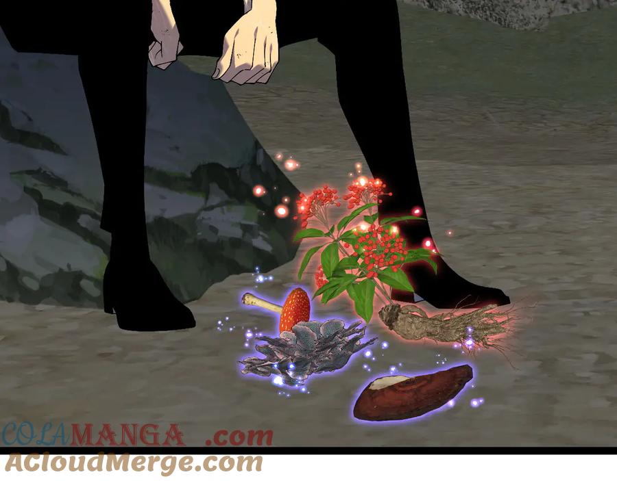65.jpg