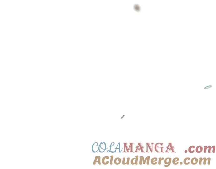 137.jpg