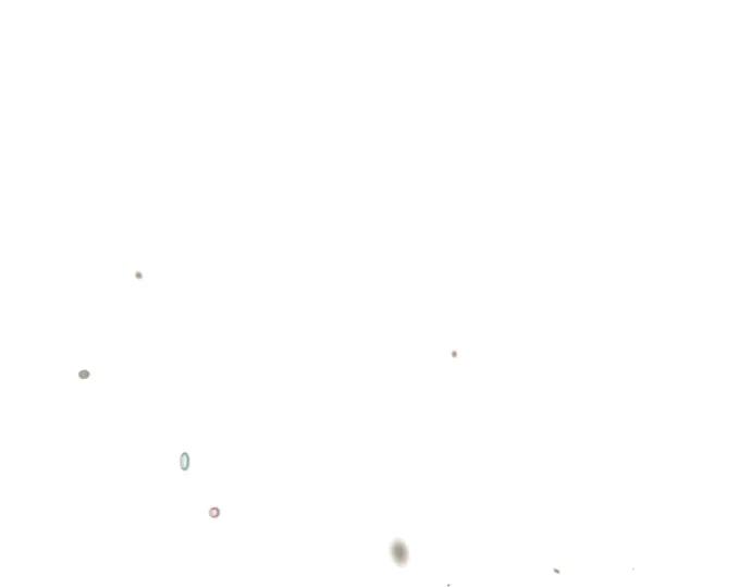 136.jpg