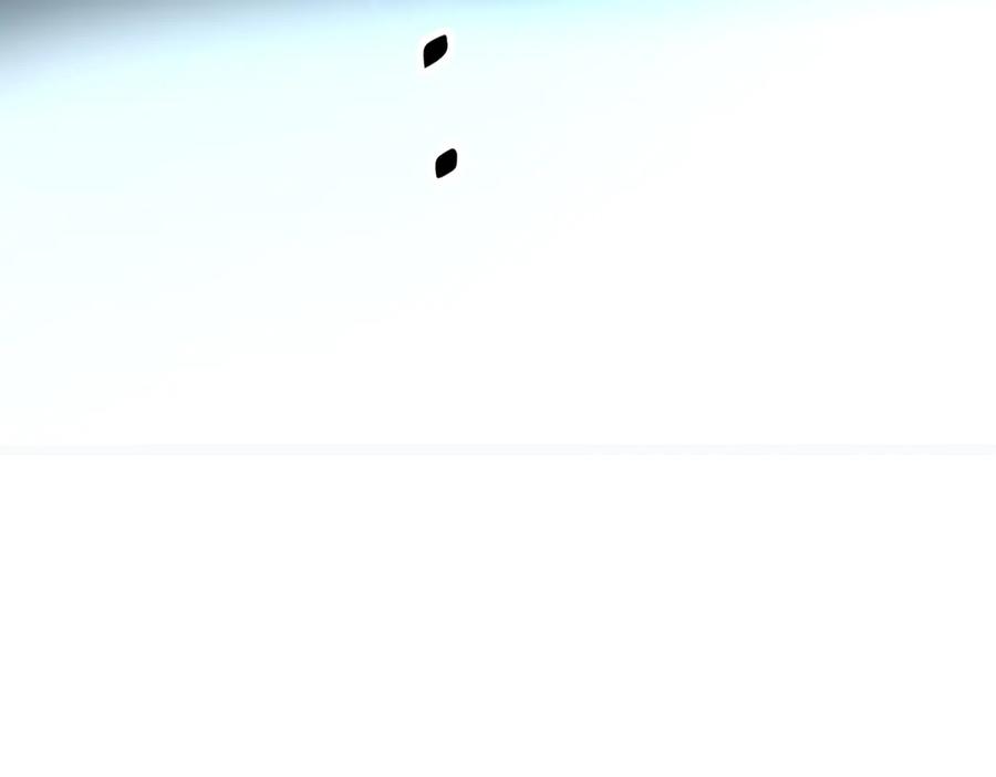 164.jpg
