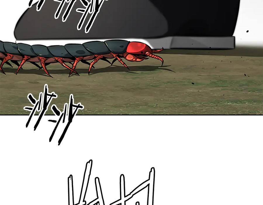 118.jpg