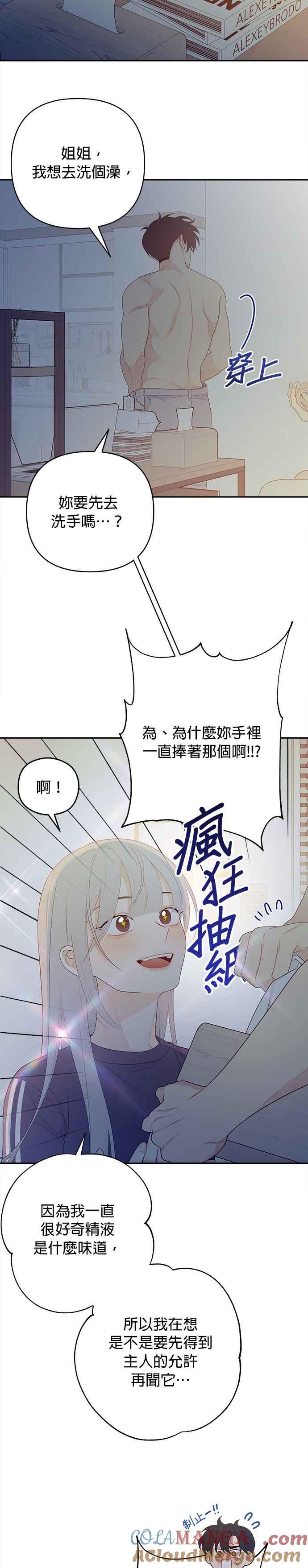17.jpg