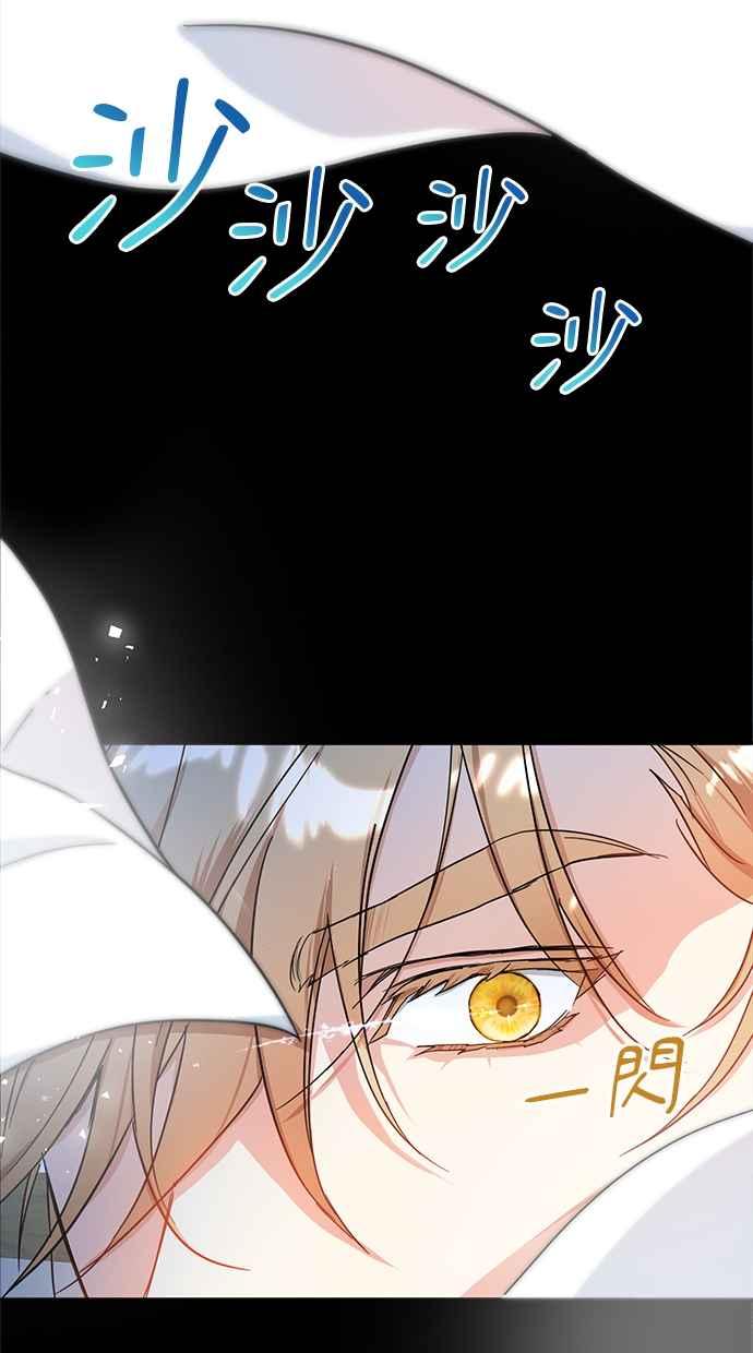 84.jpg