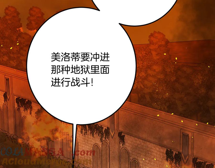 221.jpg
