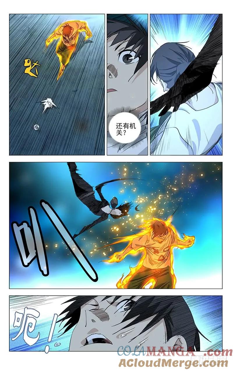 5.jpg