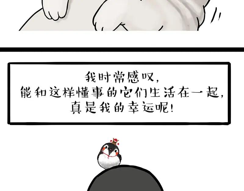 38.jpg
