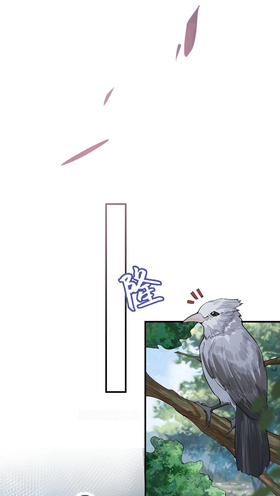 41.jpg
