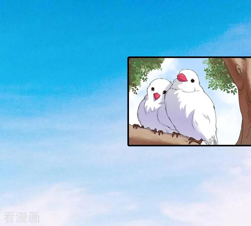 第11话你是我秘书-傲娇冷男攻略记-泛次元文化（第2张）