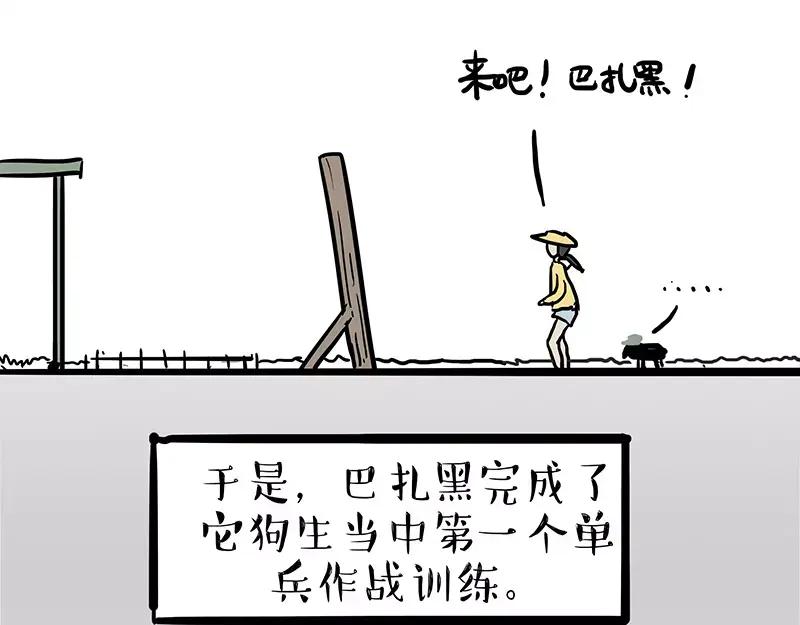 18.jpg