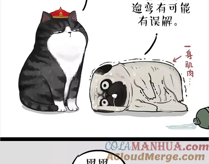 21.jpg