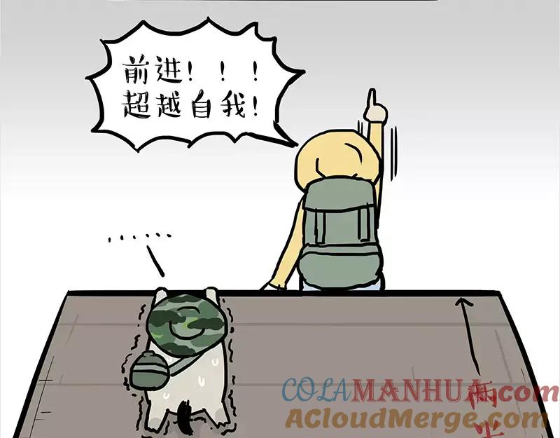 19.jpg