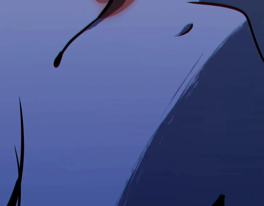 264.jpg