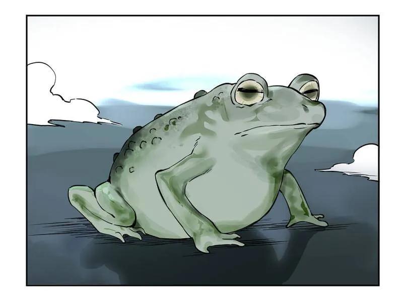65.jpg