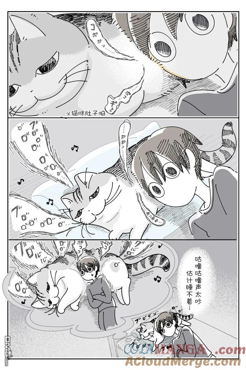第226话-关于养猫我一直是新手-キュルZ（第2张）