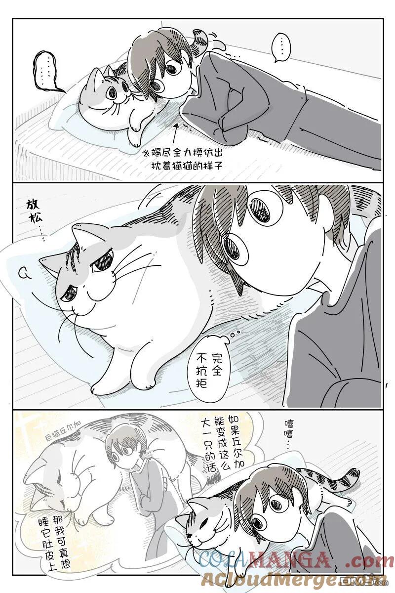第226话-关于养猫我一直是新手-キュルZ（第1张）