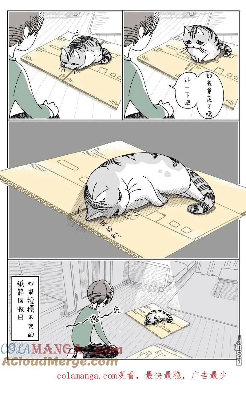 第235话-关于养猫我一直是新手-キュルZ（第2张）