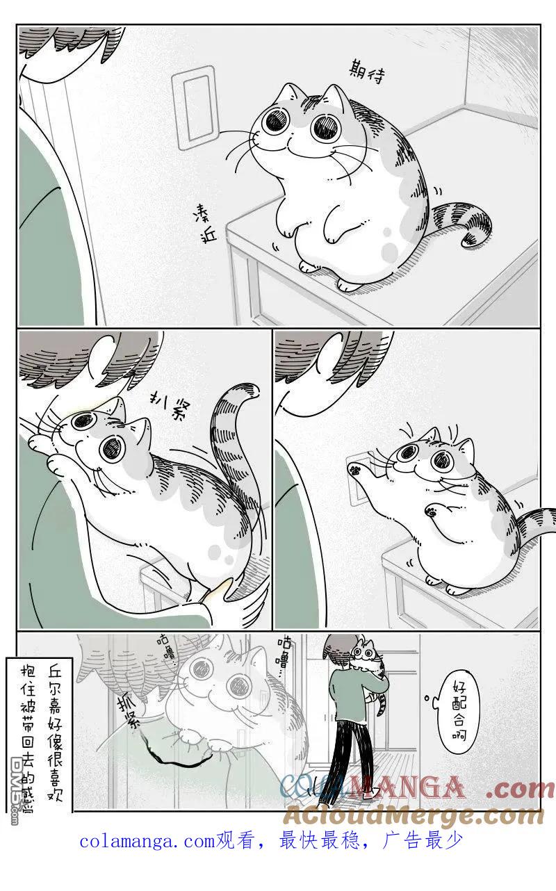 第236话-关于养猫我一直是新手-キュルZ（第3张）