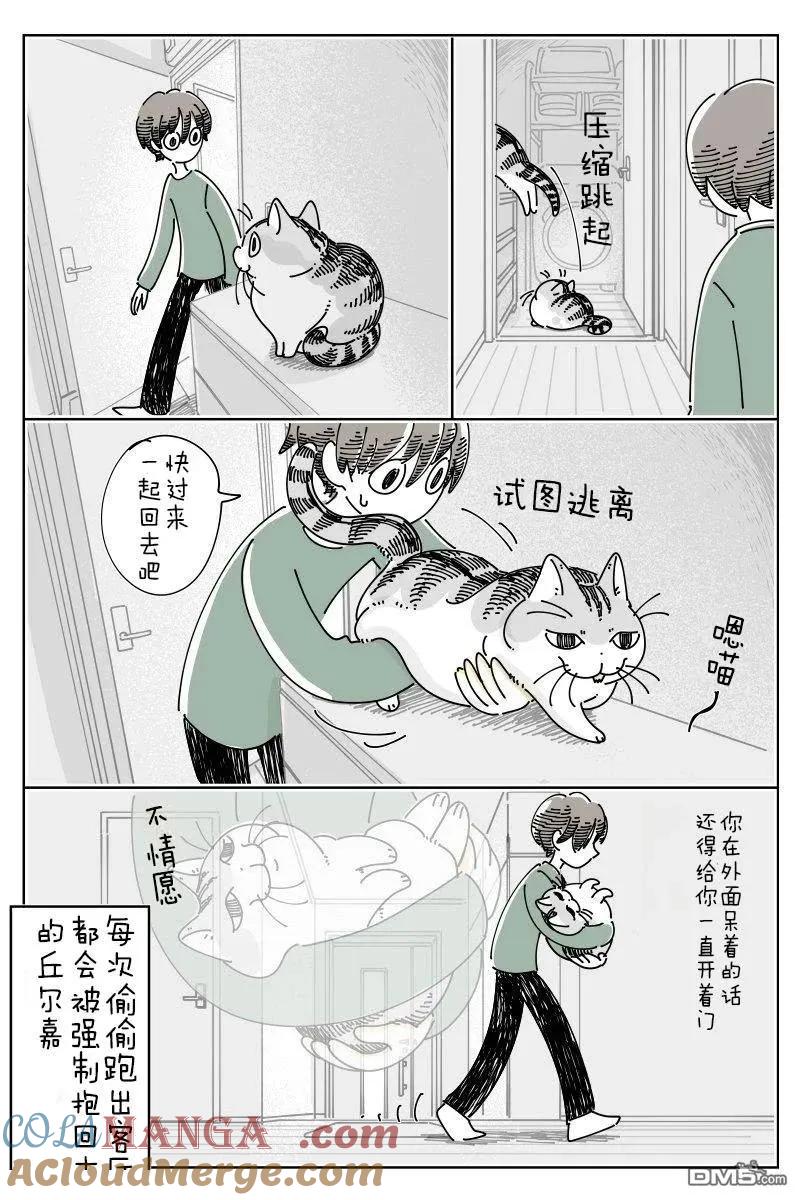 第236话-关于养猫我一直是新手-キュルZ（第1张）