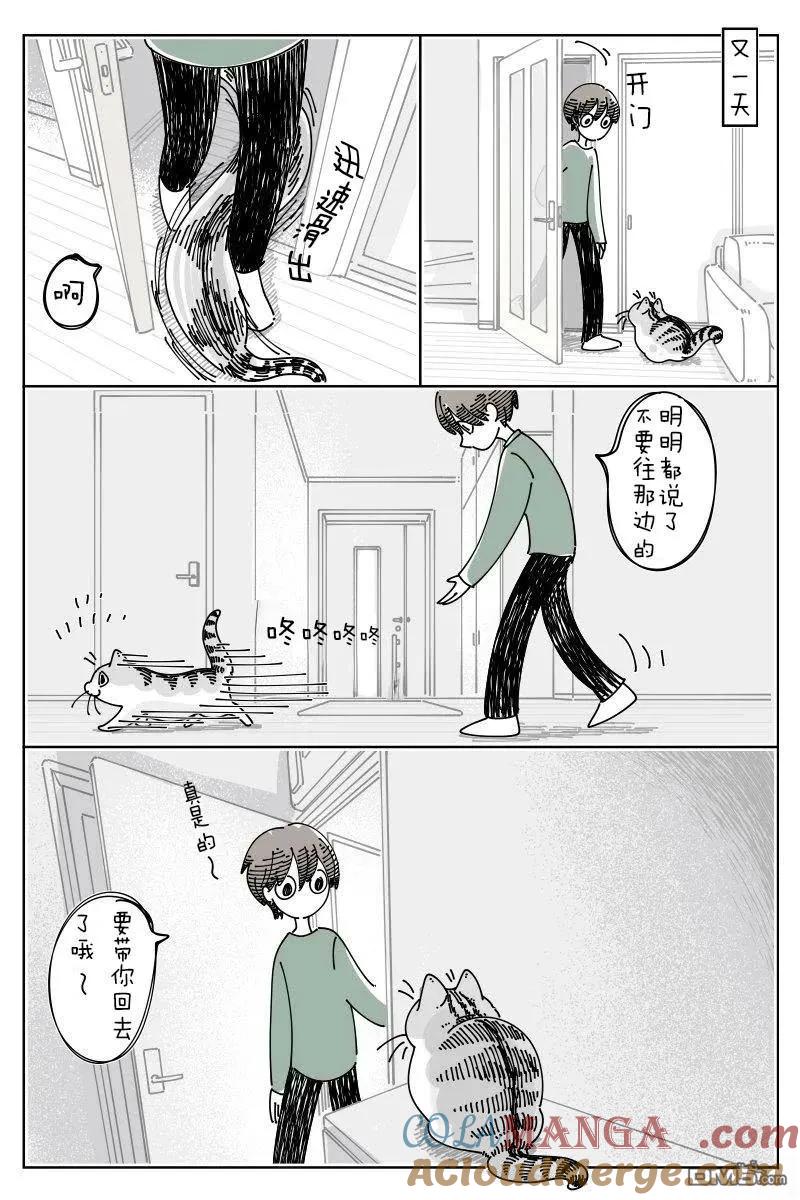 第236话-关于养猫我一直是新手-キュルZ（第2张）