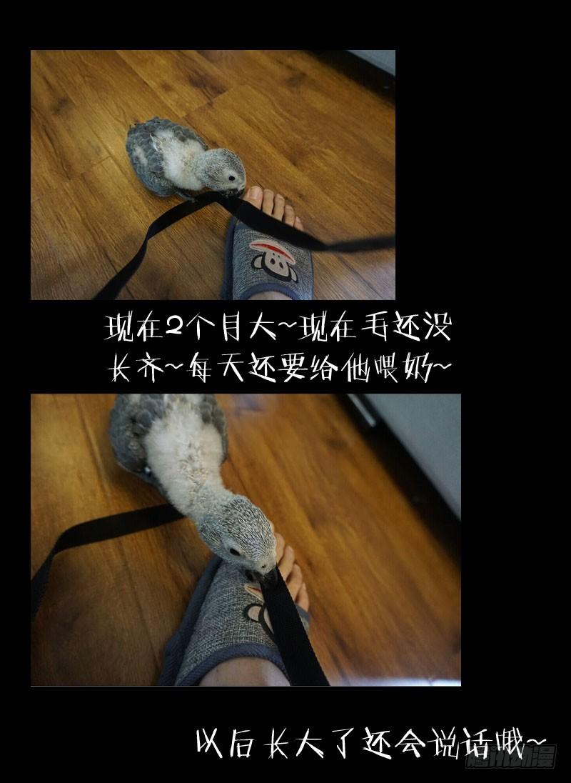 10.杀戮-我是废柴-九月光合（第10张）