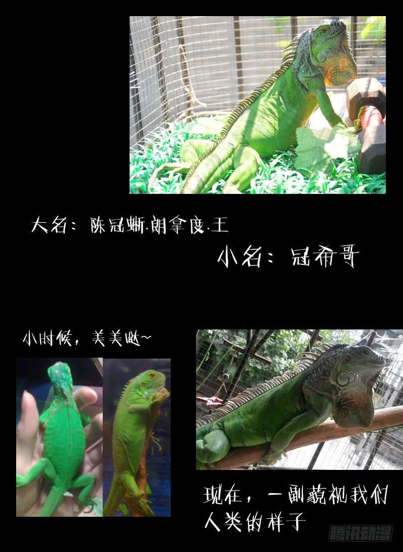 4.白慧真身-我是废柴-九月光合（第13张）