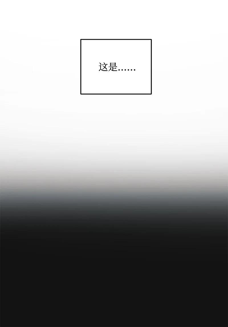 78.jpg