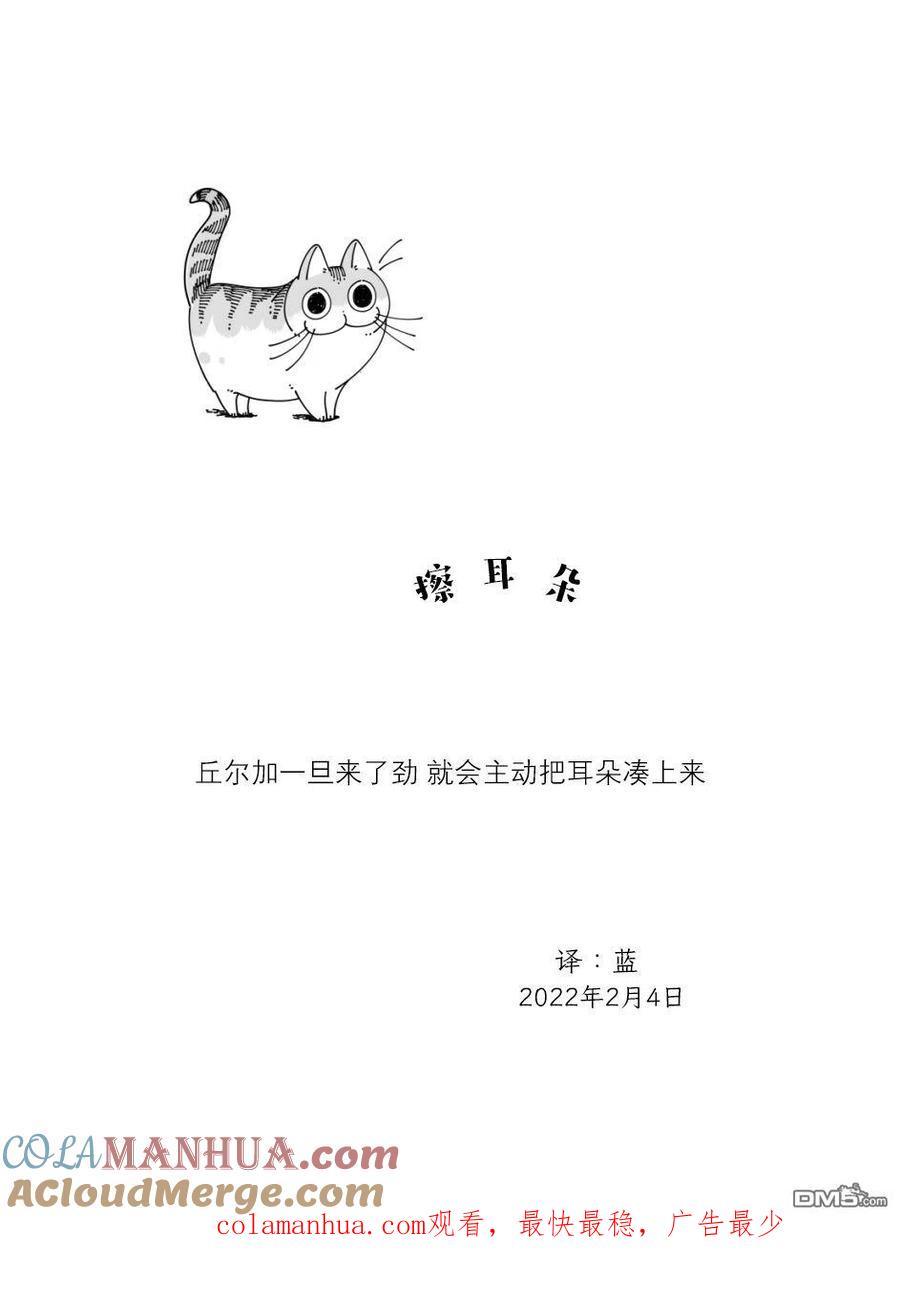 第102话-关于养猫我一直是新手-キュルZ（第2张）