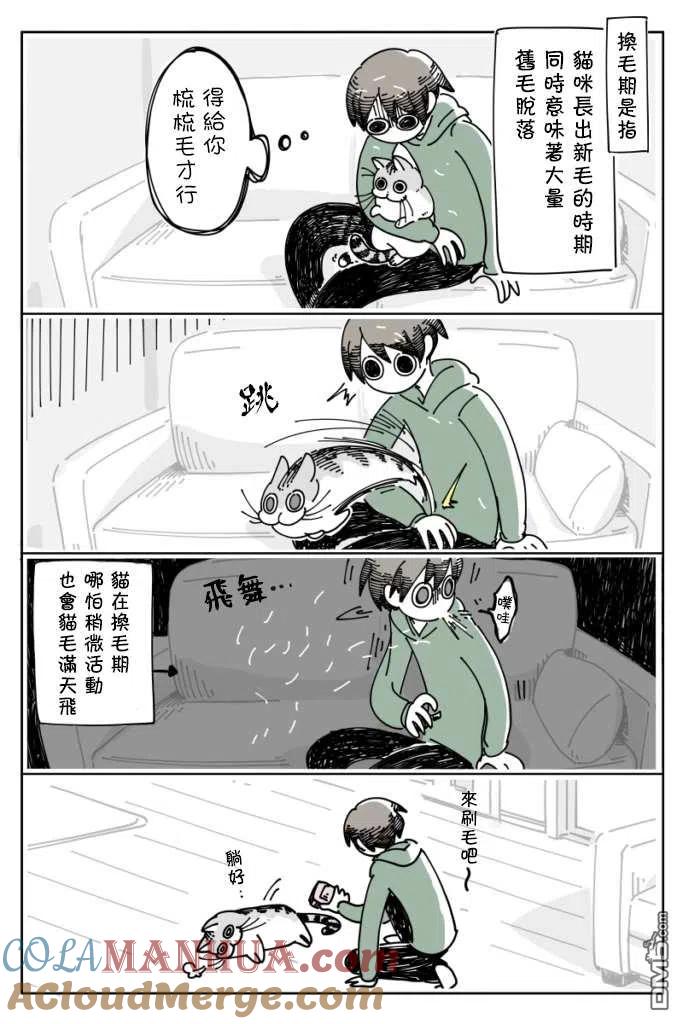 第11话-关于养猫我一直是新手-キュルZ（第2张）
