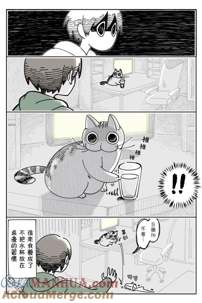 第12话-关于养猫我一直是新手-キュルZ（第3张）