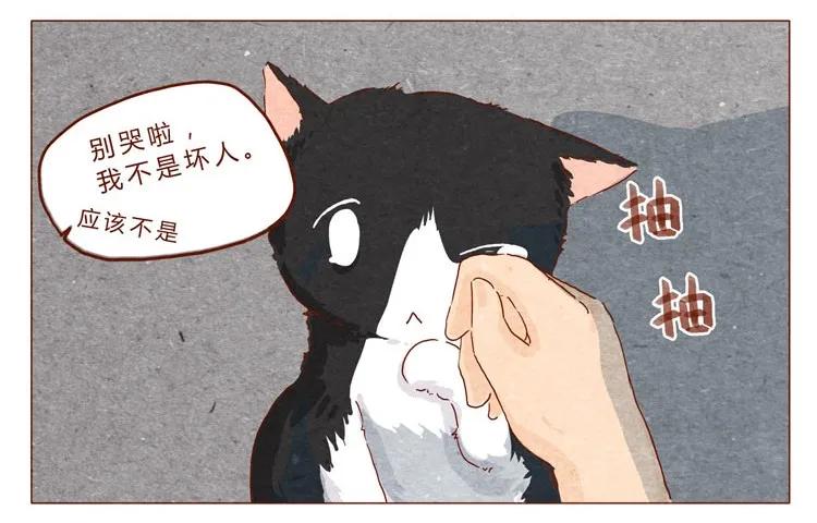 番外跟你很熟吗-喂，看见耳朵啦-特雷西胡,漫漫漫画（第11张）