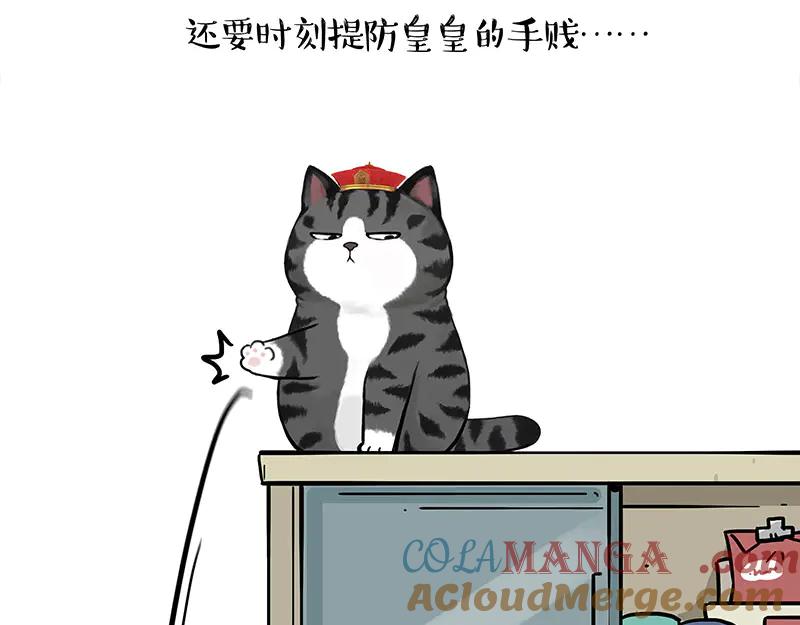 19.jpg