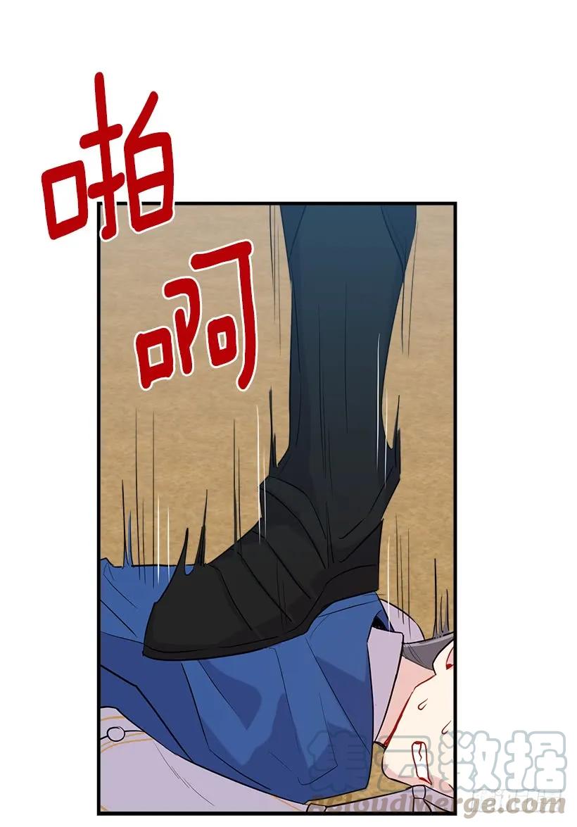 41.jpg