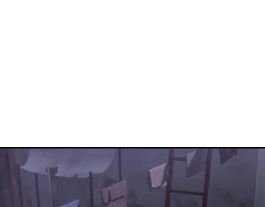 255.jpg
