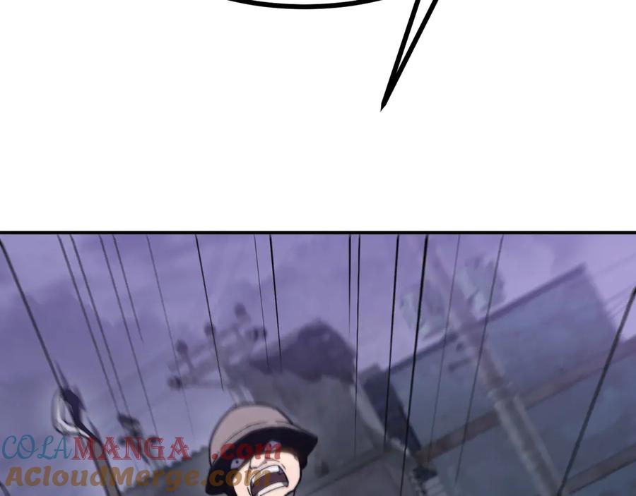 233.jpg